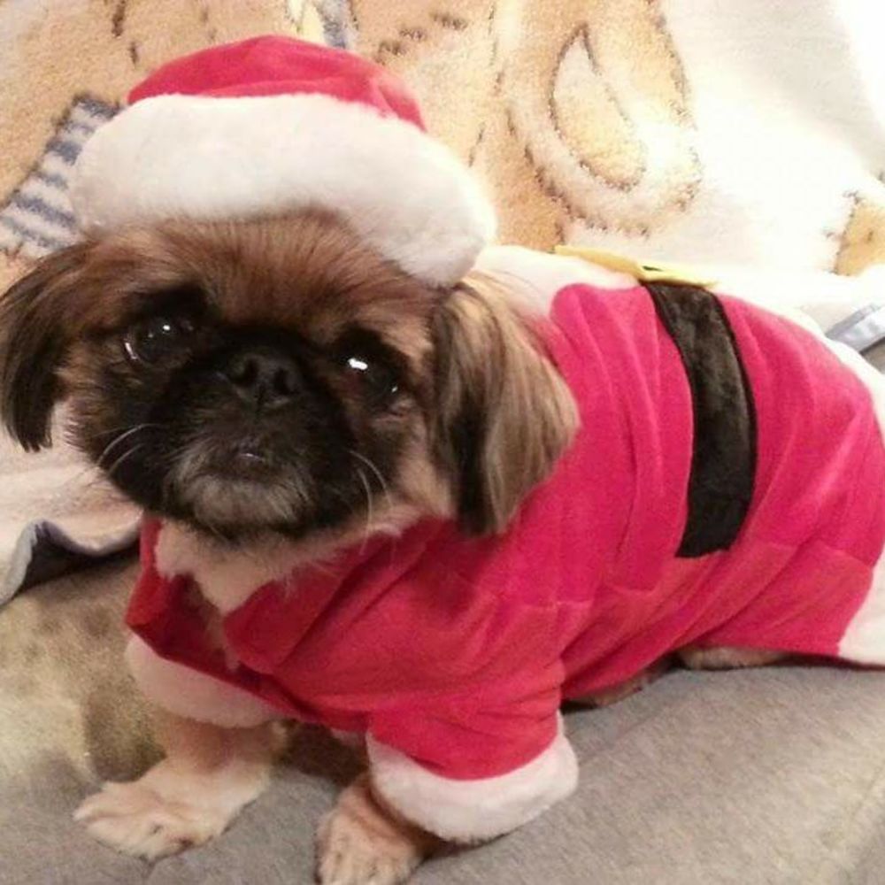 Meet your Posher, Robbin